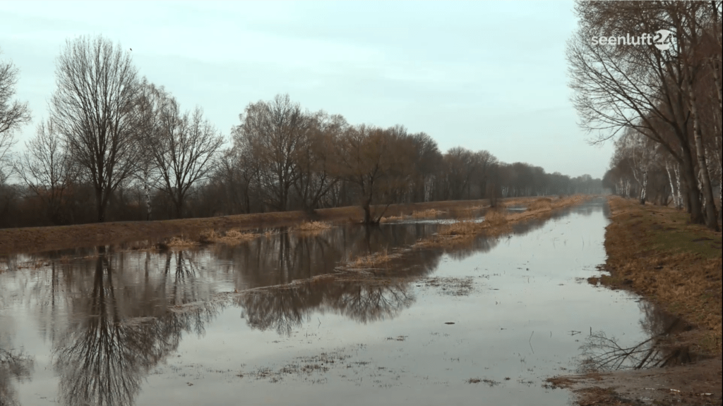 Aufgrund des hohen Niederschlags führt die Schwarze Elster aktuell einen stark erhöhten Wasserpegel.