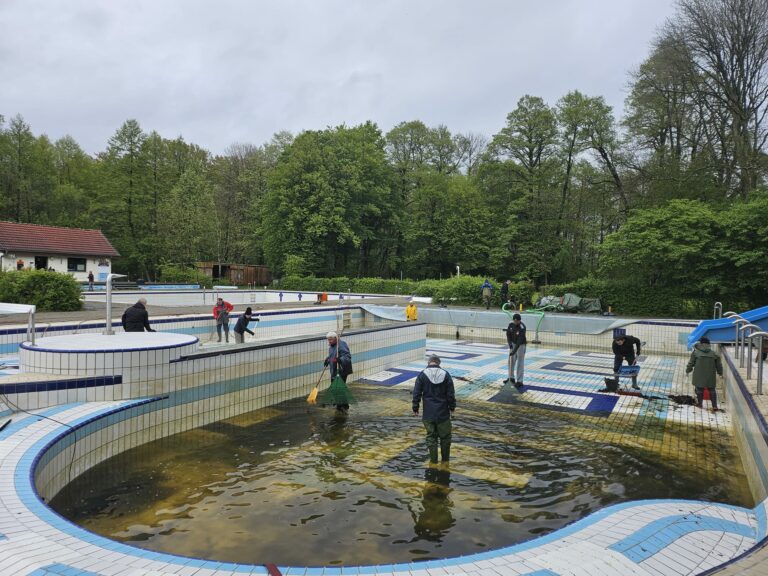 Freiwillige Helfer beim Arbeitseinsatz im Freibad Ortrand