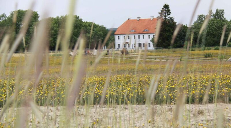 Gut Geisendorf