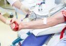 Blutreserven werden knapp: DRK ruft in der Lausitz zum Spenden auf Blutreserven werden knapp: DRK ruft in der Lausitz zum Spenden auf