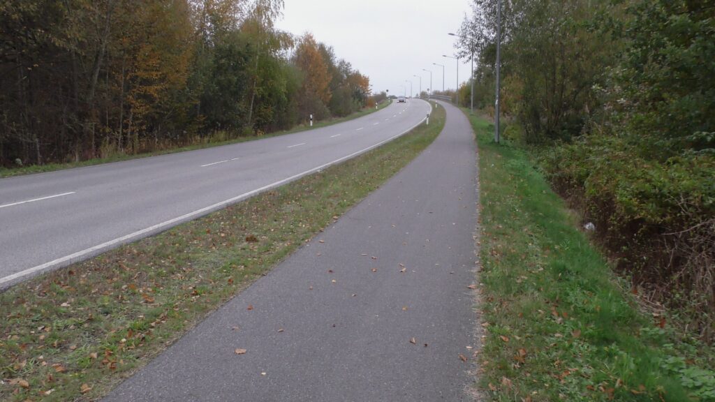 Asphaltierter Radweg neben einer Straße in Lauchhammer-Süd
