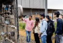 50 Millionen Euro für die Energieforschung: Woran das EIZ in der Lausitz arbeitet Forschende besichtigen eine technische Versuchsanlage des Energie-Innovationszentrums